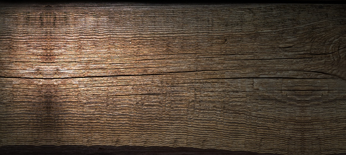 textura dřeviny